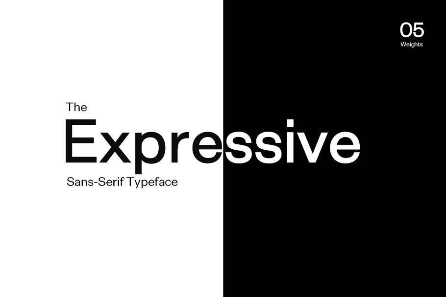 Exensa Grotesk